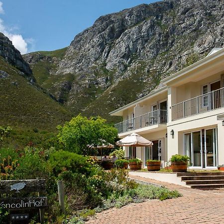 Francolinhof Guest House Hermanus Exterior photo