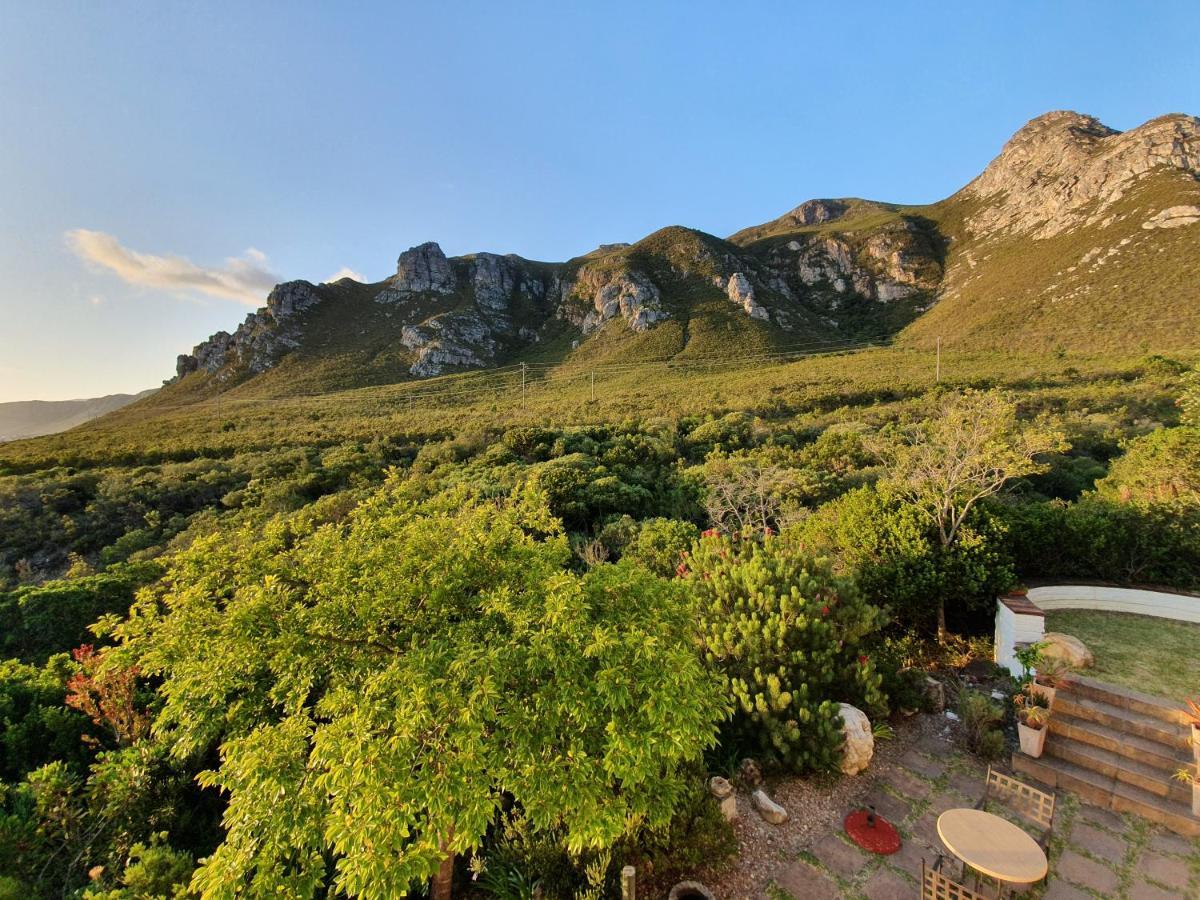 Francolinhof Guest House Hermanus Exterior photo